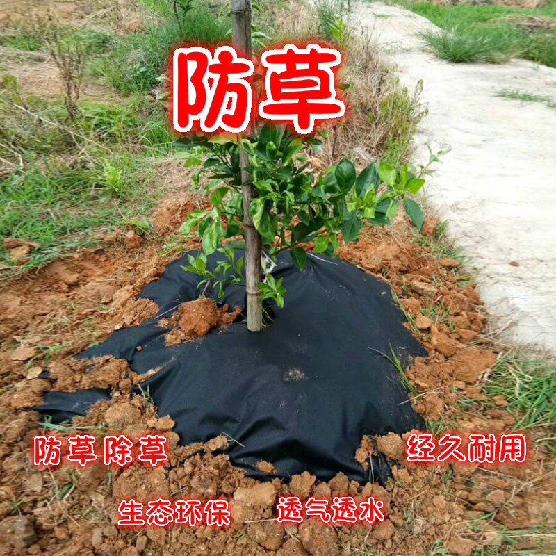 防草布除草布园林抑草席农用除草布地膜果园防草地布