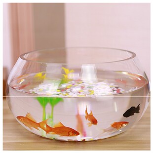 金鱼缸中型圆形创意