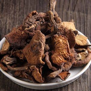 榛蘑丁野生特级图片