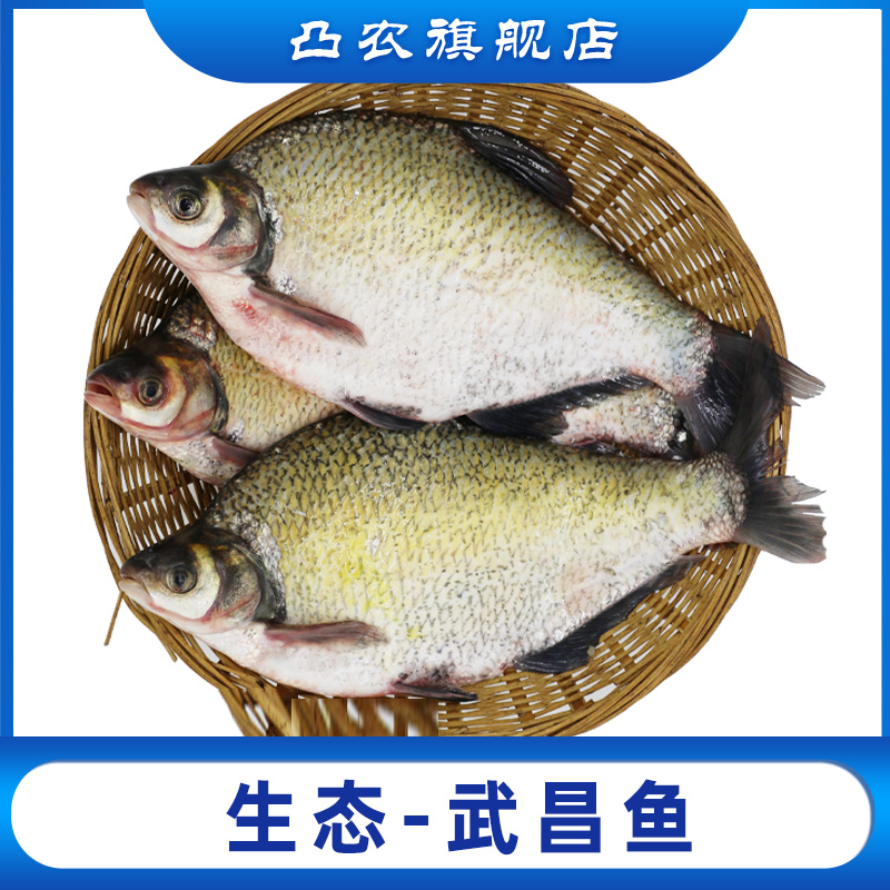 武昌鱼 新鲜