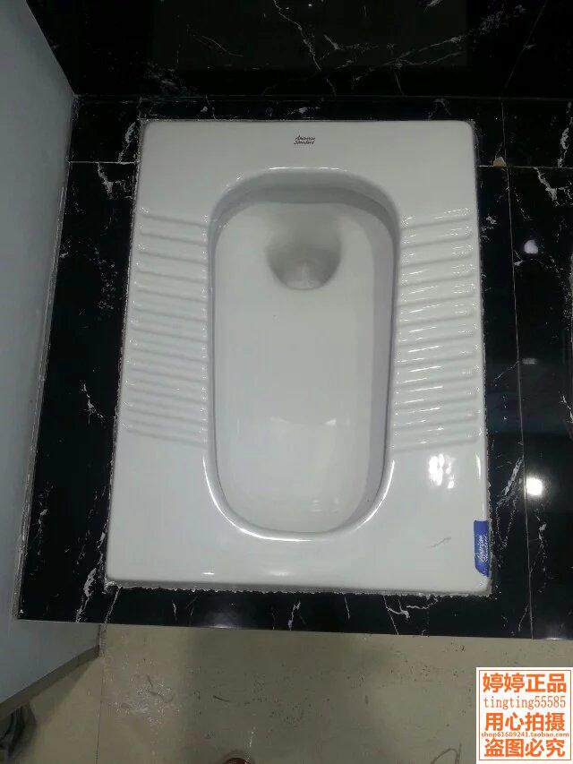 美标蹲便器