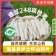 正宗河南焦作温县怀山药片垆土铁棍山药片干片中药材淮山药干500g