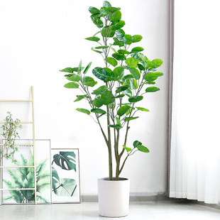 Simulated Yuanbao tree money tree green plant potted large