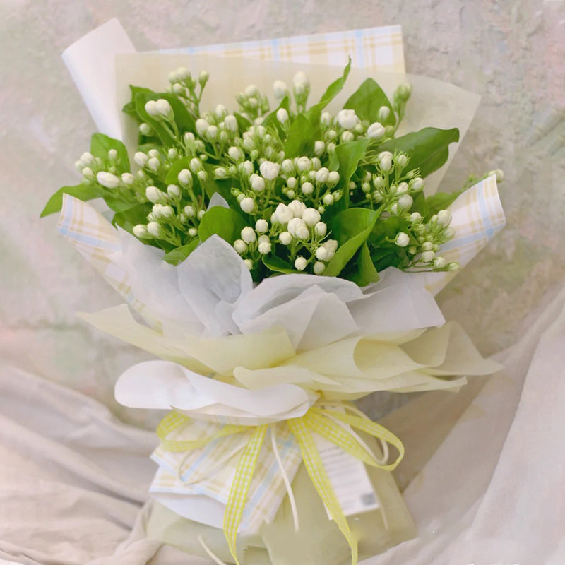 茉莉花花束鲜花送男友鲜花速递同城配送洋甘菊鲜花花束生日送深圳