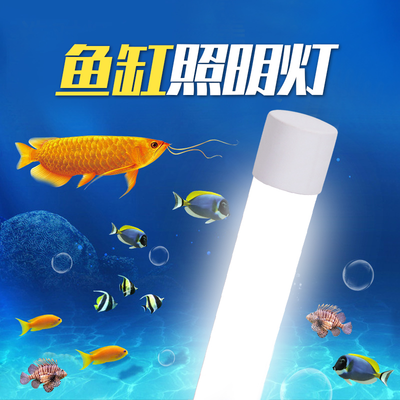 鱼缸照明灯leesa水草太阳光小型水族箱暴藻金龙鱼防水全光谱220v插电t8LED灯管白光蓝光小夜灯龟缸锦鲤鱼专用