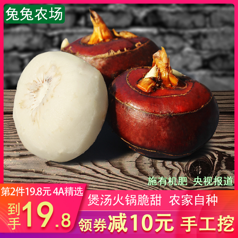 正宗樂昌特産新鮮北鄉馬蹄5斤4A果脆甜少渣現挖荸荠當季水果蔬菜在類目 水產肉類/新鮮蔬果/熟食, 新鮮蔬菜/蔬菜製品, 新鮮蔬菜, 荸荠/馬蹄中 - 來自Buy2taobao.com提供專業的淘寶代購服務