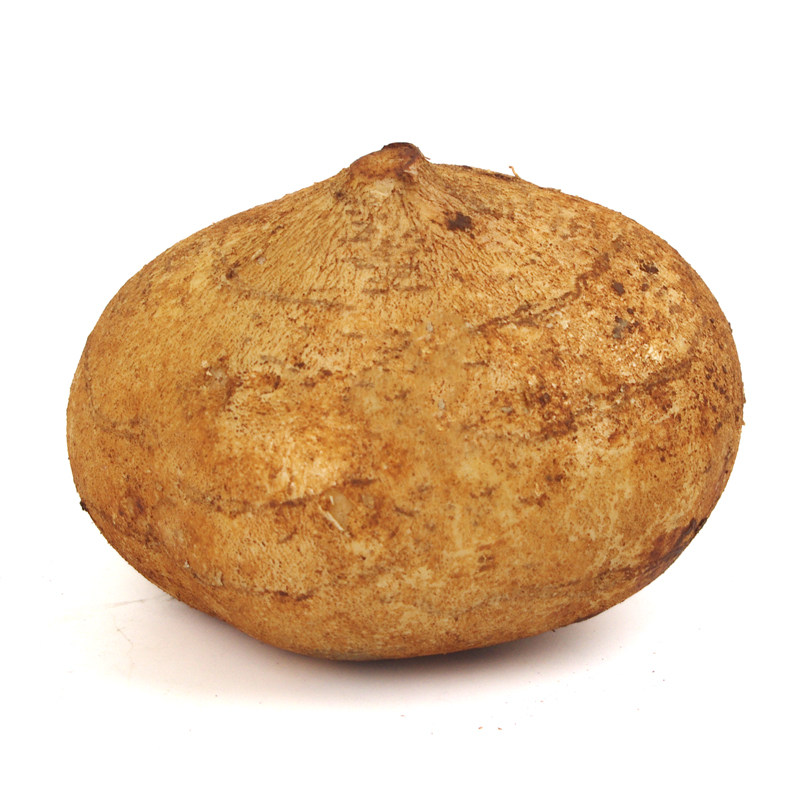 热销生鲜蔬菜 菜市场_地瓜1个2斤-3斤凉薯/沙葛/豆薯 新鲜蔬菜菜市场