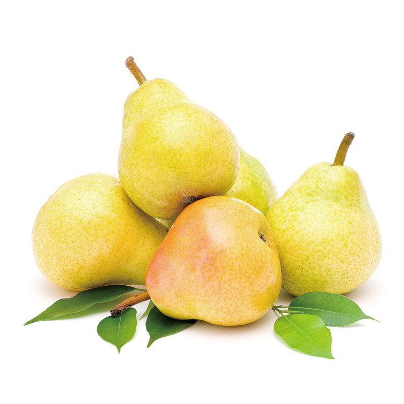 东北长白山特产新鲜水果茄梨 大头梨 太婆梨 2500g 5斤装包邮