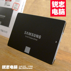 Samsung/三星 MZ-750250B/CN 750EVO 250G SSD台式笔记本固态硬盘