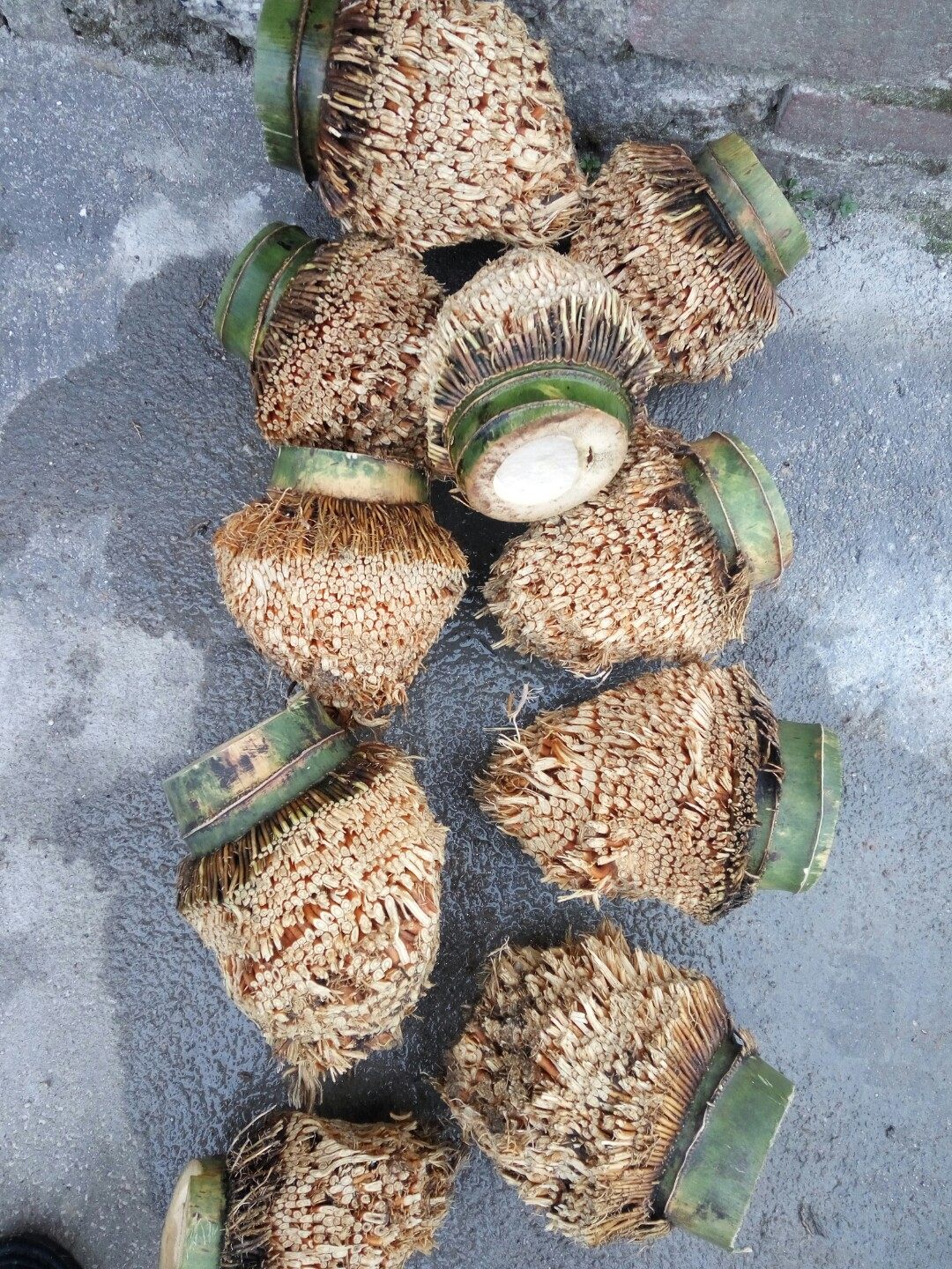 竹根雕_楠竹根毛竹根diy 雕刻金蟾竹根料竹根雕原料满钉根雕爱好原料