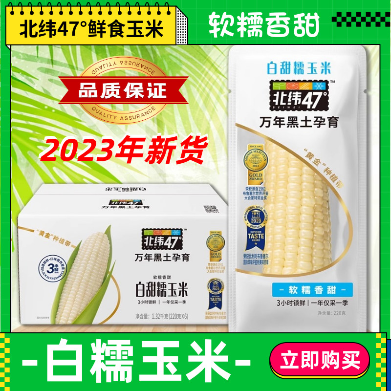 北纬47度白糯玉米白甜糯玉米棒软糯香杂粮主食充饥饱腹2023年新货