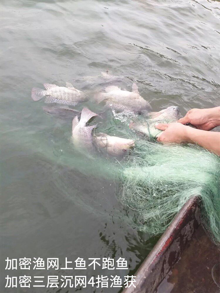 热销三层渔网粘网