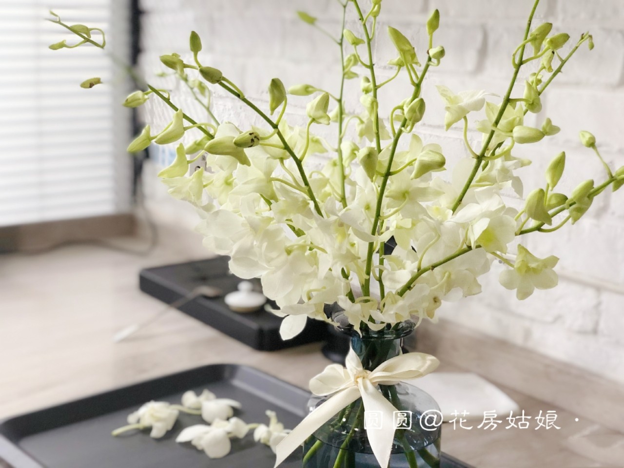 千代真言_多色泰国洋兰鲜花跳舞兰千代兰蝴蝶兰大花蕙兰鲜花一枝包邮