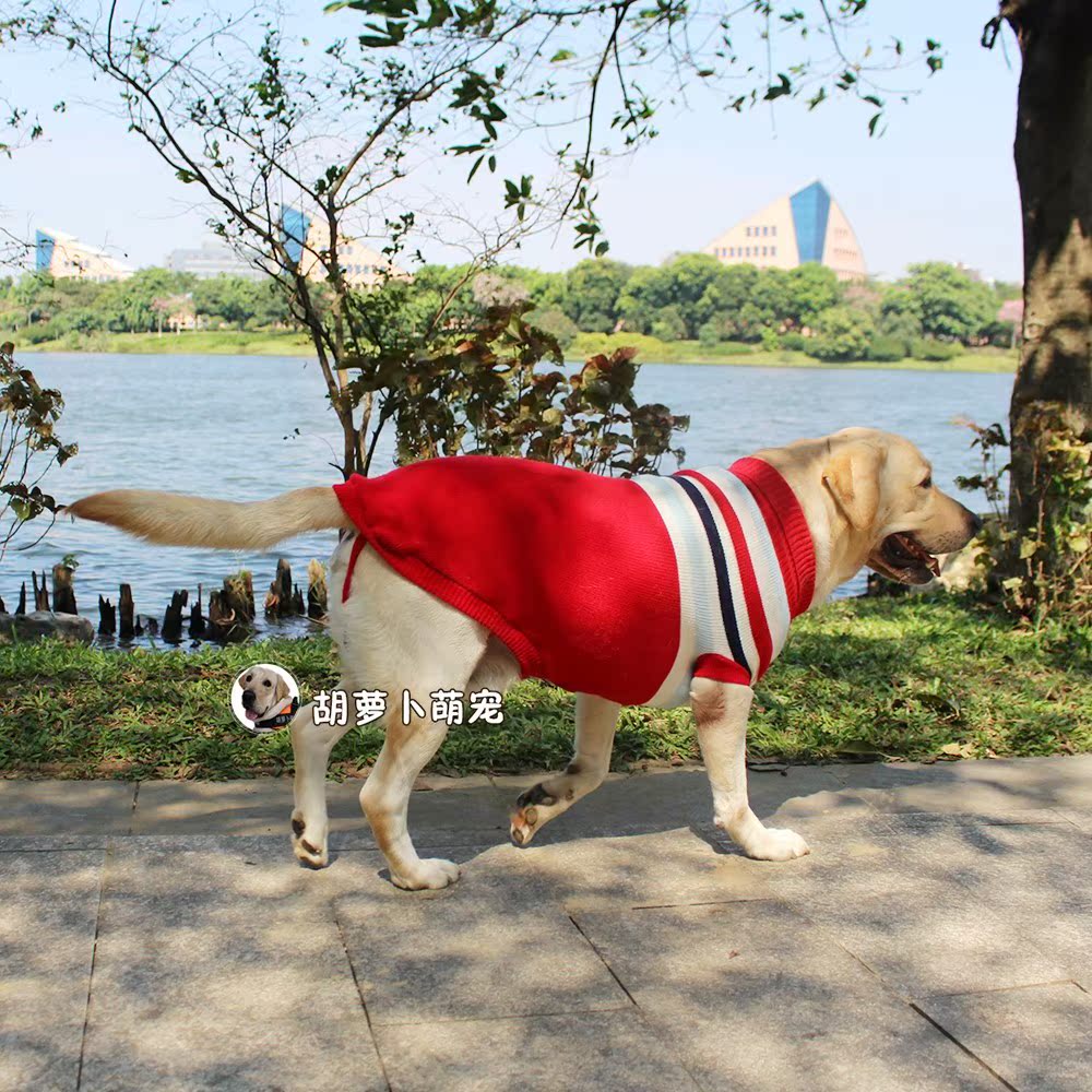 宠物衣服狗狗秋冬拉布拉多狗毛衣中大型犬狗衣服金毛保暖大狗棉衣在类目 女装/女士精品, 大码女装中 - 来自Buy2taobao.com提供专业的淘宝代购服务