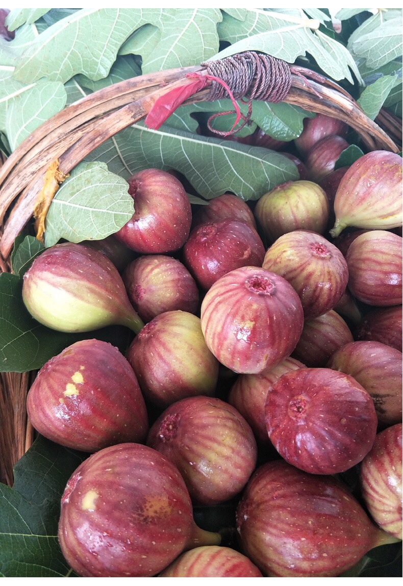 figs-特价促销-优惠券领取-价格|多少钱|什么牌子好-35优惠券网站