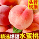 现摘水蜜桃新鲜水果桃子当季整箱应季现摘孕妇水果脆桃10毛桃包邮