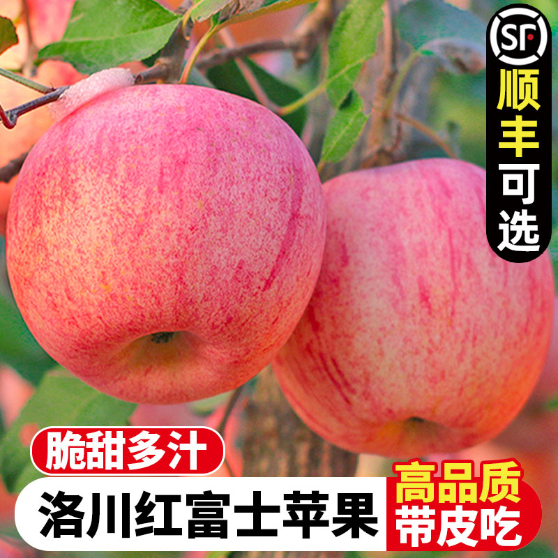 洛川苹果红富士水果新鲜当季整箱8.