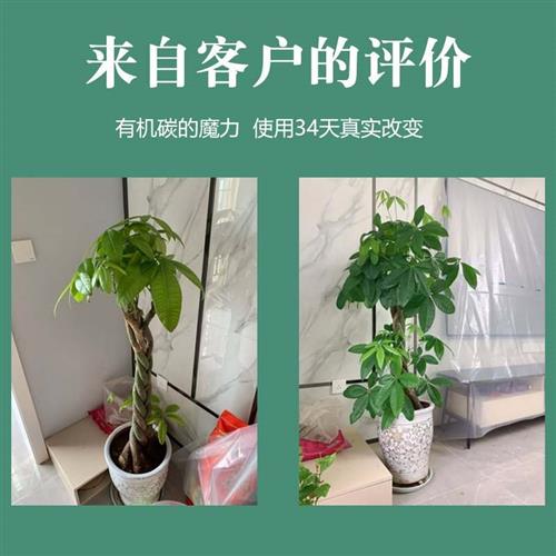 发财树肥料室内黄叶专用肥安养液通营幸福树龙血树花肥植物平用型