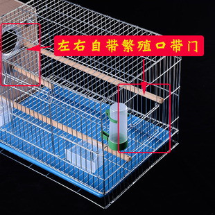 鹦鹉笼子带繁殖箱大号特大繁殖笼鹦鹉鸟笼大别墅玉鸟繁殖鸟笼大型