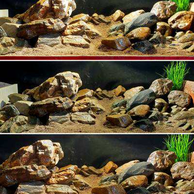 溪流原生缸造景 溪流石天然鹅卵石鱼缸造景组合石头套餐三湖慈z.