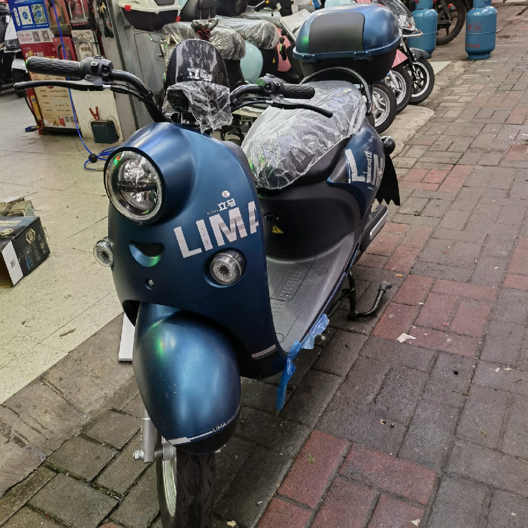 立马米迪电动车国标轻便电摩电动自行车新国标可上牌时尚代步车冻