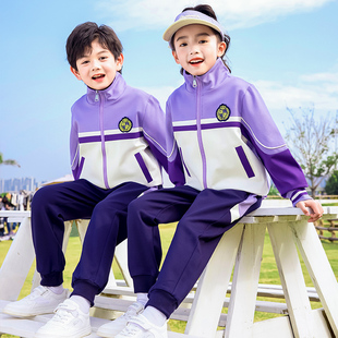 小学生校服春秋装学院风儿童班服套装紫色三件套幼儿园园服春夏季