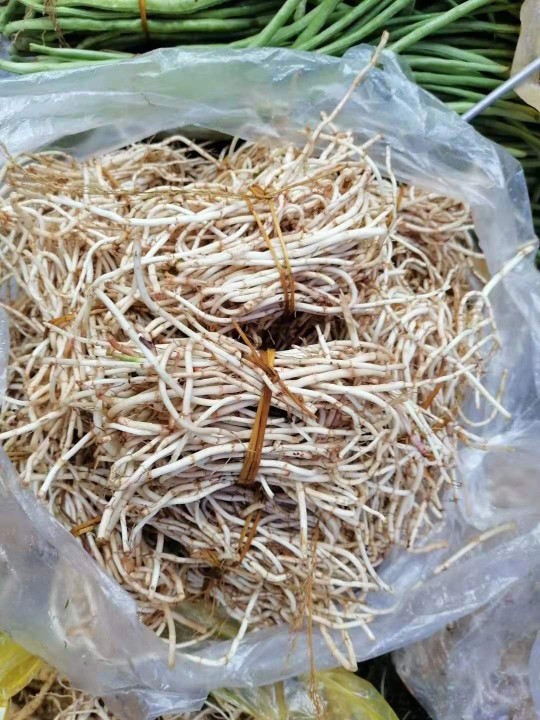 贵州平塘农家新鲜折耳根 鱼腥草 现摘现发包邮坏单包赔