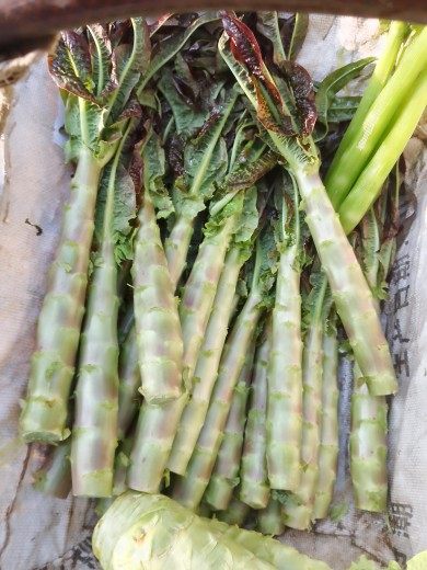新货苔干特级无叶贡菜干货特产火锅食材苔菜新鲜脱水蔬菜非莴笋干