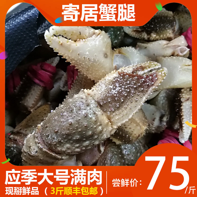 大连海鲜特产新鲜大寄居蟹钳子海怪海螃蟹腿鲜活虾怪寄居蟹腿食用