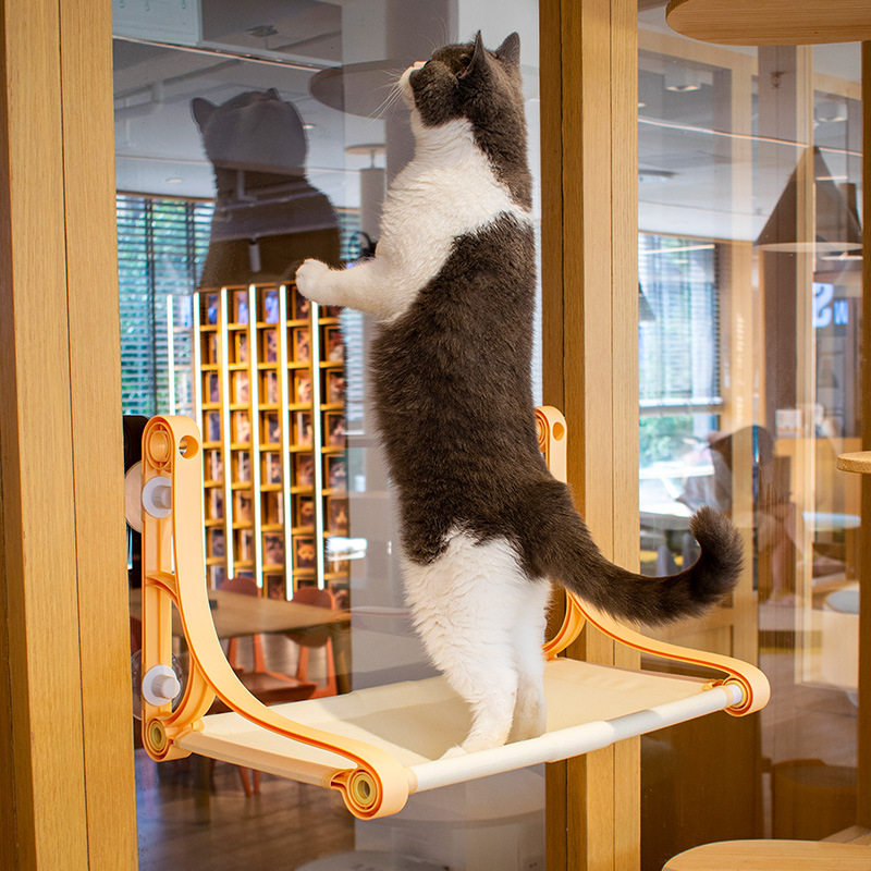 派派猫-特价促销-优惠券领取-价格|多少钱|什么牌子好-35优惠券网站