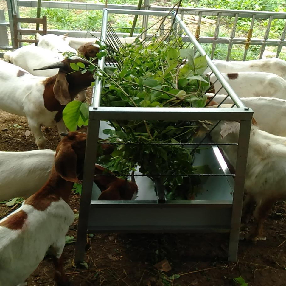 定制羊槽子家用喂羊饲料槽镀锌双面橡胶食槽加厚食料槽架养殖补料