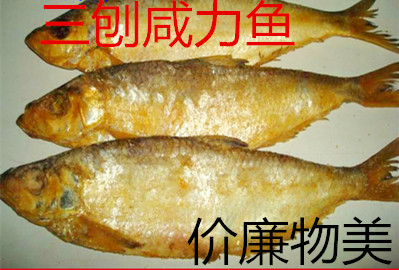 2份免邮舟山宁波海鲜特产三刨咸力鱼白鳞鱼咸鱼干货勒鱼鲞250克