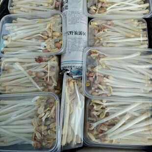 远东春生鲜 新鲜蔬菜 花生芽 两盒 京津冀满68包邮