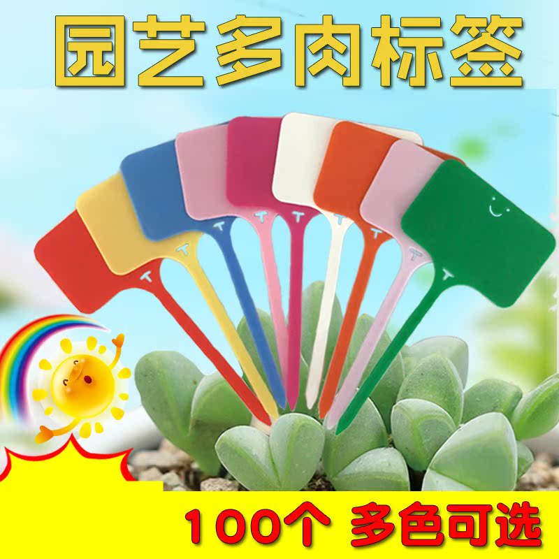 苗木多肉标签卡牌小型儿童名字用品家用写字盆栽卡片塑料名称种植在类目 鲜花速递/花卉仿真/绿植园艺, 园艺用品, 其它园艺用品中 - 来自Buy2taobao.com提供专业的淘宝代购服务