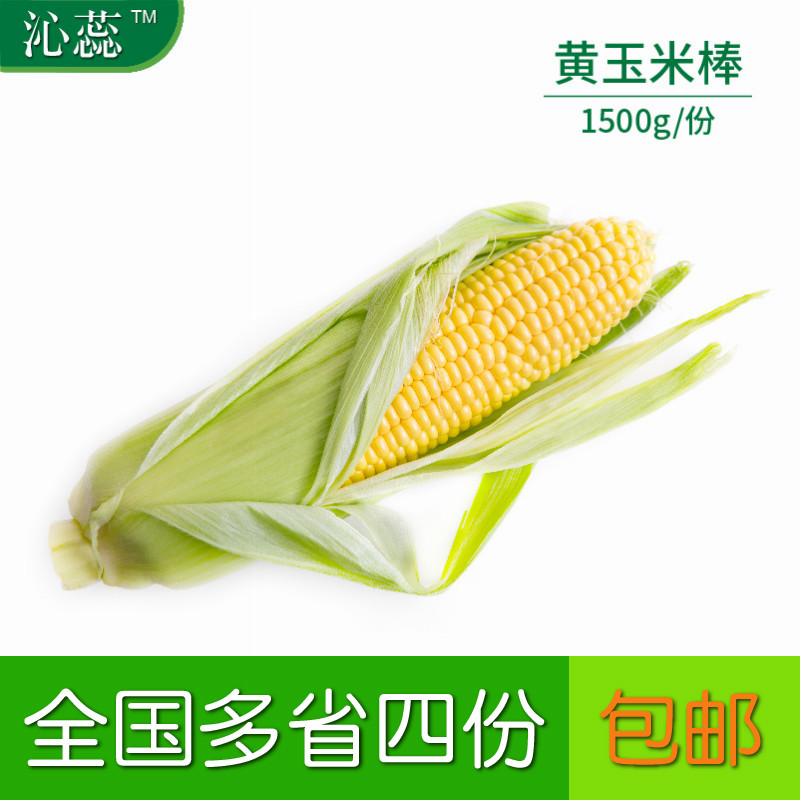 【沁蕊】新鲜黄玉米棒 甜玉米 1500g 带皮玉米棒子黄玉米在类目 水产肉类/新鲜蔬果/熟食, 新鲜蔬菜/蔬菜制品, 新鲜蔬菜, 其它中 - 来自Buy2taobao.com提供专业的淘宝代购服务
