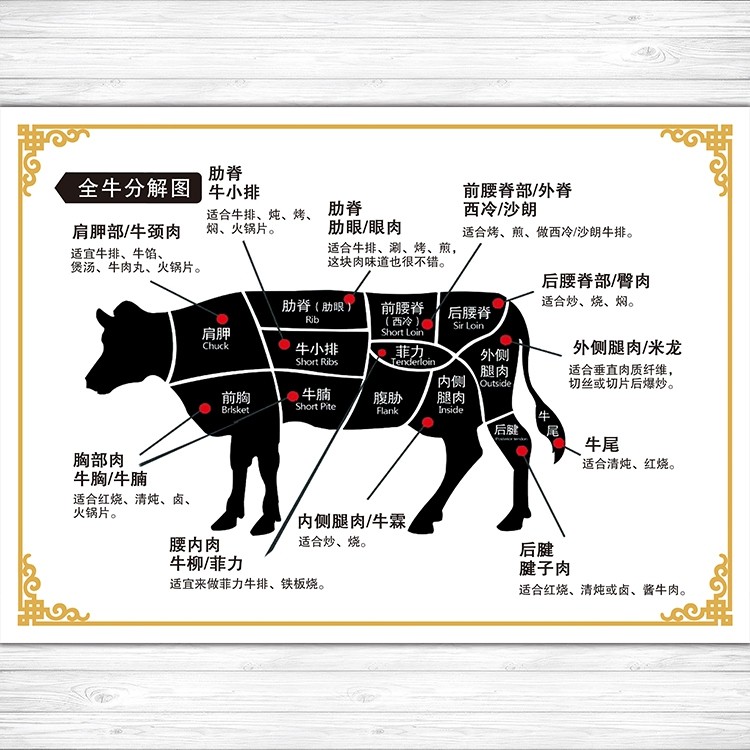 牛肉分割分解部位示意图海报展板写真喷绘印制写真