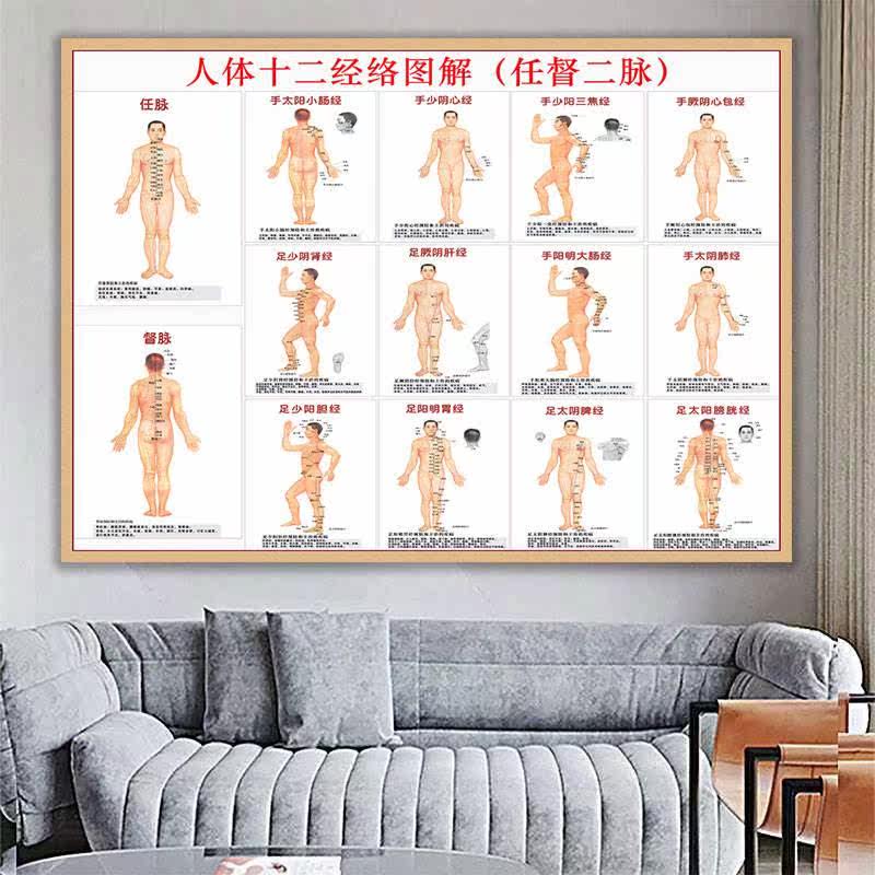 十二经络图海报人体十四经络穴位示意图家用大挂图14条走向图经脉