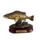 精品立体3D鱼模型摆件装饰品鳜鱼马口鲈鱼翘嘴鱤鱼金枪鱼旗鱼