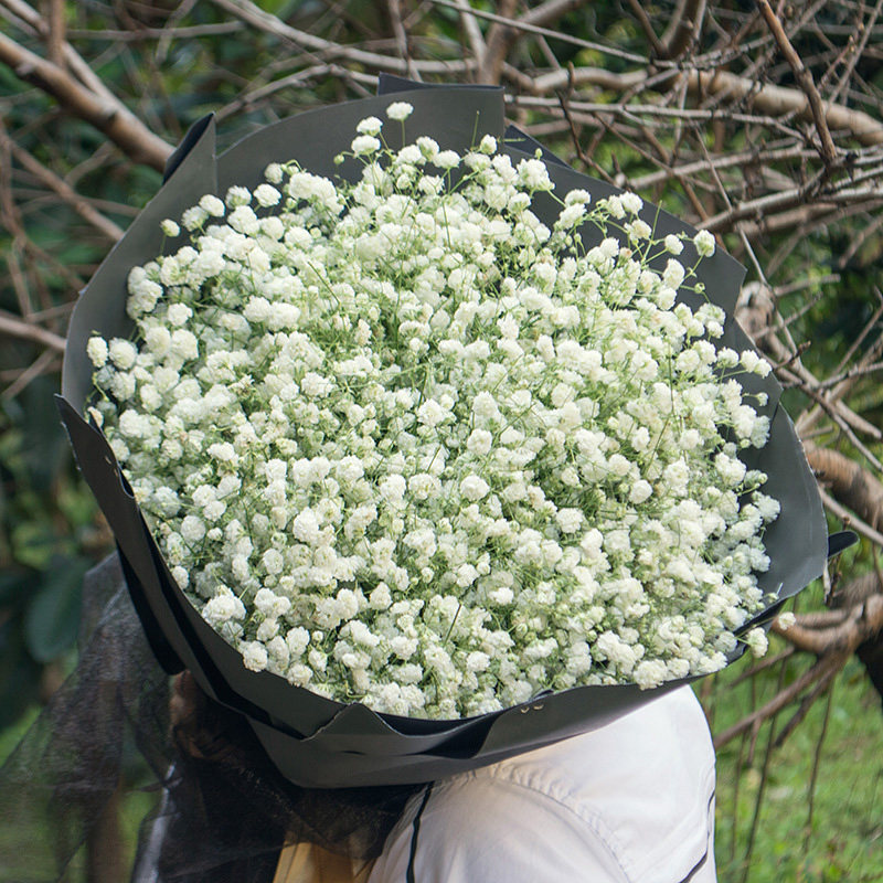 白蓝色满天星花束礼盒鲜花速递同城上海北京南京广州生日表白送花