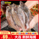 新鲜冷冻偏口鱼小扁口鱼油煎大连海鲜水产4斤海鱼梅子鱼大头宝鱼