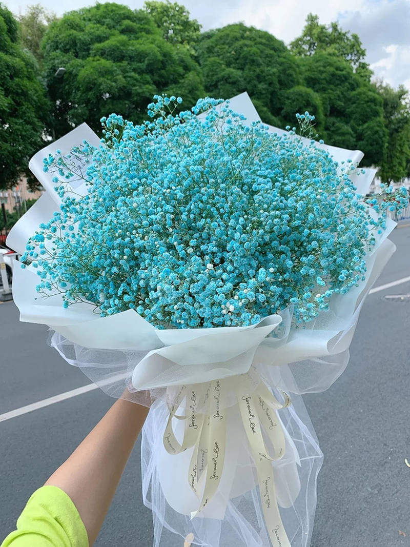 超大束满天星干花花束永生花圣诞节母亲节生日礼物送男女朋友闺