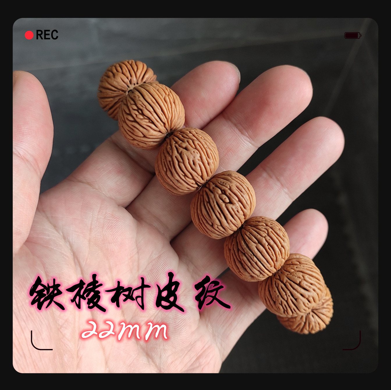 a6大树皮纹竖纹柳叶脐深纹姜黄皮正圆矮桩桃核手串野生佛珠23mm