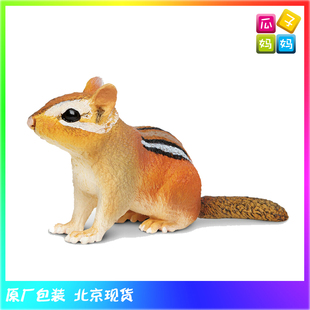 Safari 美国 金花鼠 花栗鼠 斑纹 松鼠 动物模型玩具原封 263029