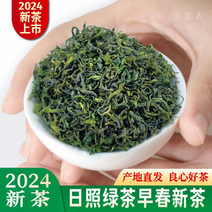 日照绿茶2024年早春新茶叶特级正宗豌豆鲜旗舰店明前散装板栗香