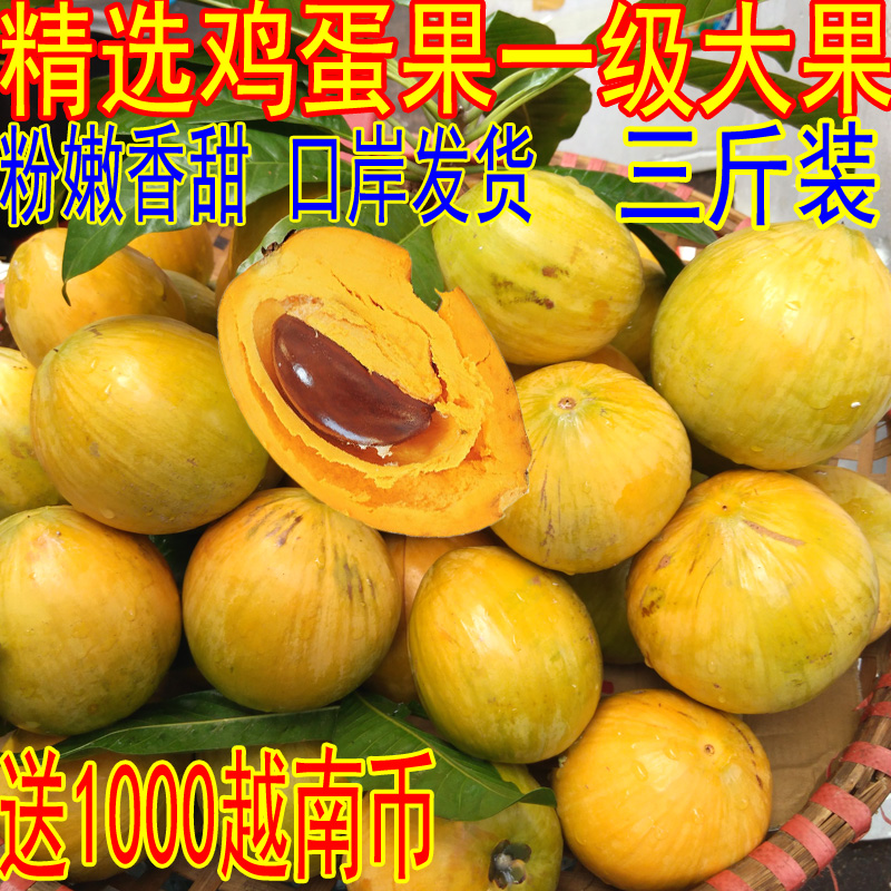 越南品种蛋黄果鸡蛋果特级大果狮子果
