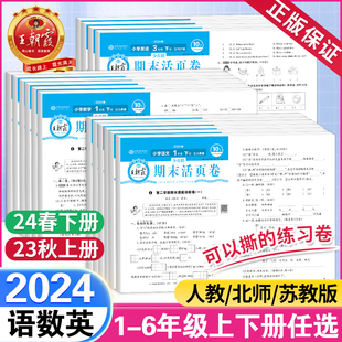 2024春版王朝霞期末活页卷一二三四五六年级下上册语文数学英语人教北师大苏教版 小学课堂达标测试卷期末冲刺100分少而精摸底试卷