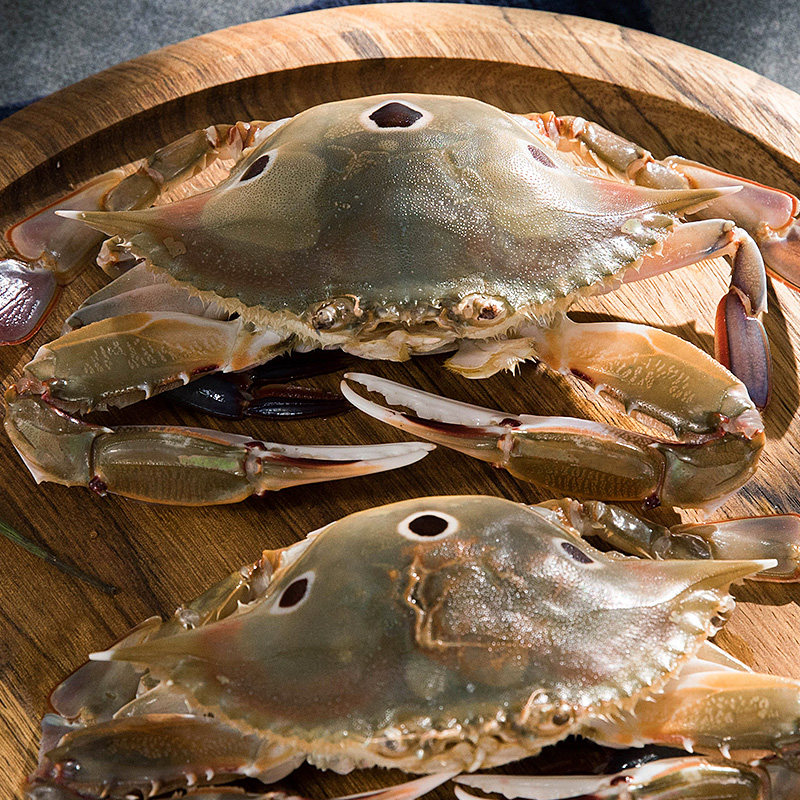 热销螃蟹鲜活 梭子蟹