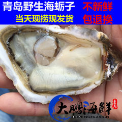 青岛鲜活海蛎子500g野生牡蛎新鲜生蚝海鲜水产5斤包邮