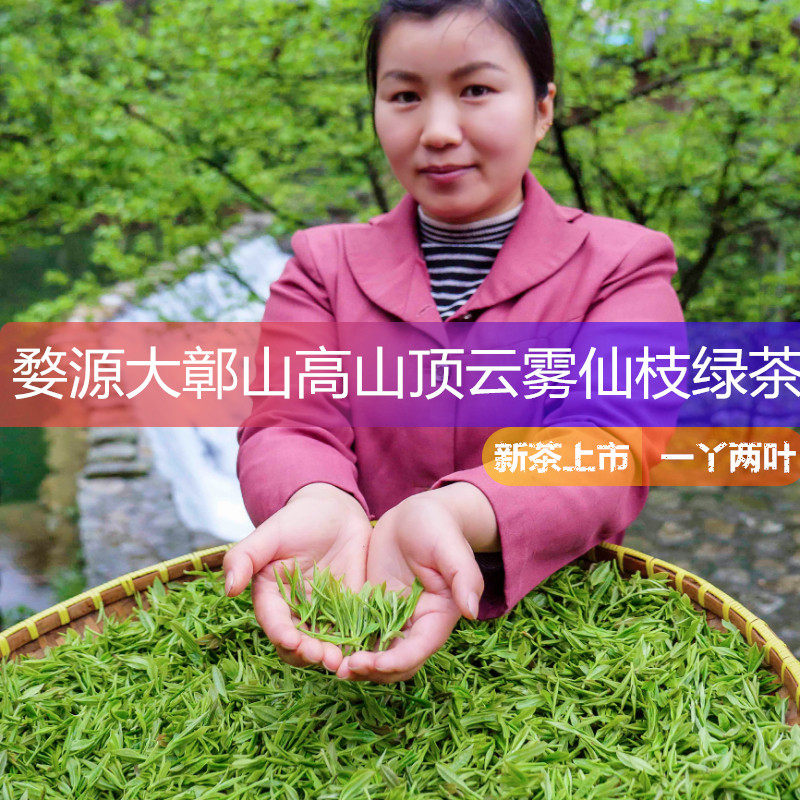 婺源绿茶新茶春茶丫玉仙枝一芽两叶高山云雾绿茶纯手工50克包邮