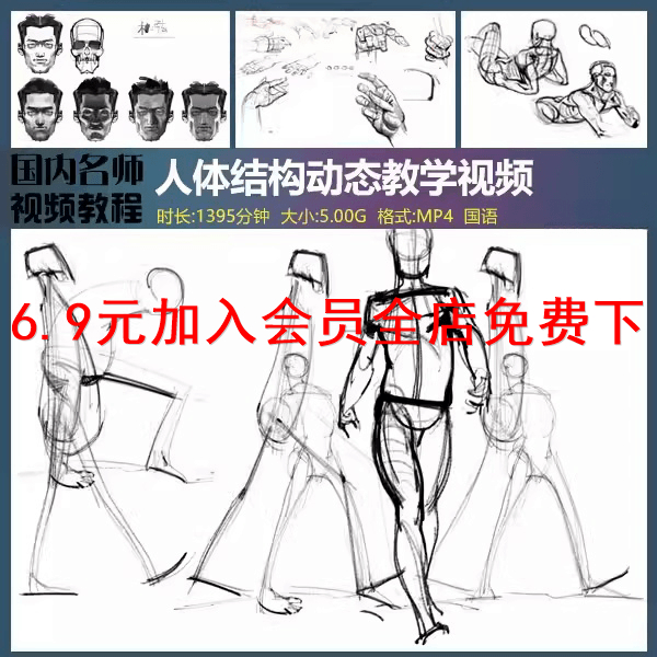 人体结构视频 CG人体动态结构速写视频 国语